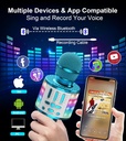 Micro karaoké bluetooth sans fil