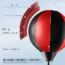61Hf2j8OOjL._AC_SL1000_.webp