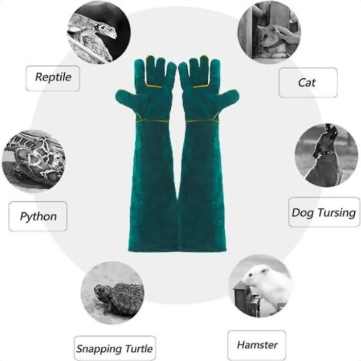 Screenshot 2026-06-29 at 13-09-17 Anti-bite Animal Handling Gloves.webp