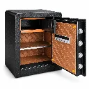 Luxury Black Safe with Open Door.webp