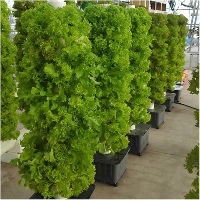 Tour hydroponique - 30 pots