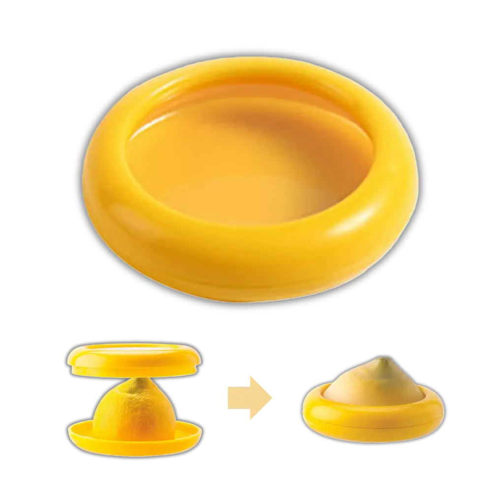 5 x Boîte de conservation