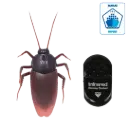 Cafard géant RC télécommander - Le maître des farces